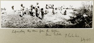 Bedouins separating corn, Beni Saleh, July 1917